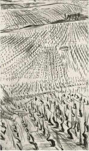Astrid de La Forest, Vignes III, 2006