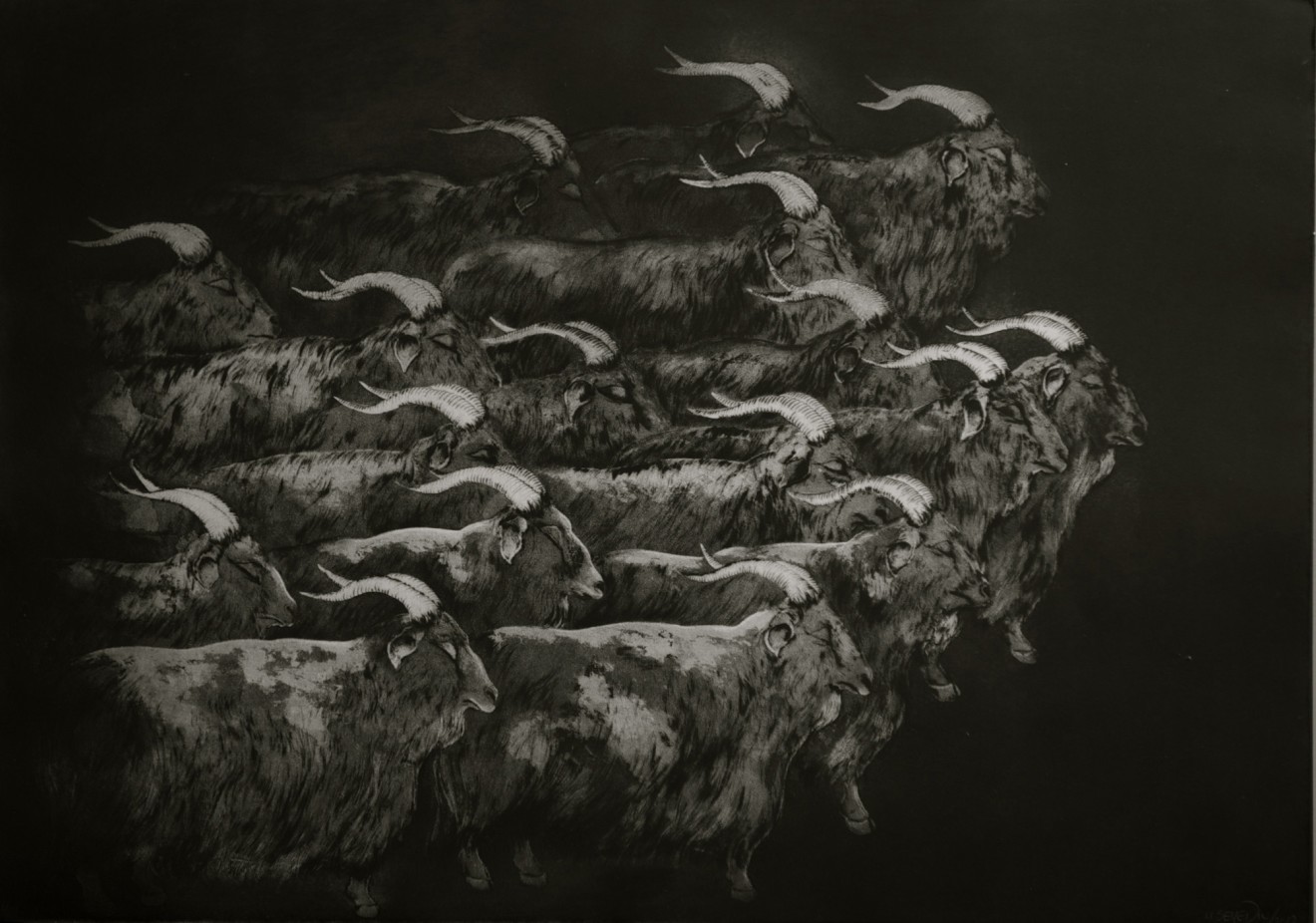 Marjan Seyedin, Troupeau de chèvres, 2012