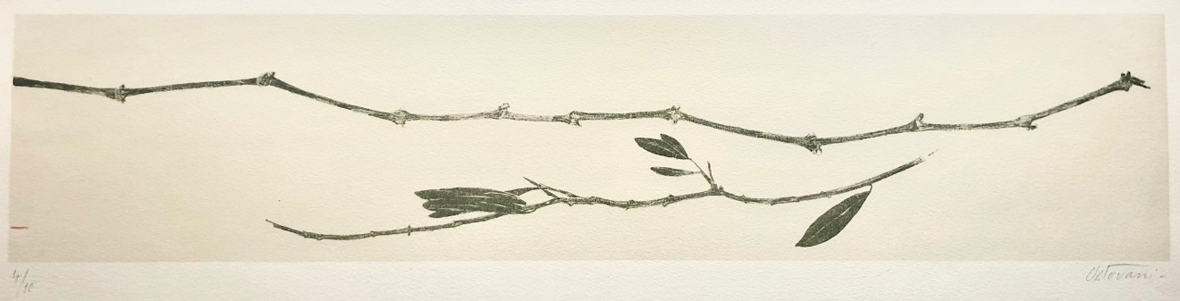 Farhad Ostovani, Méditerrannée I, 2018