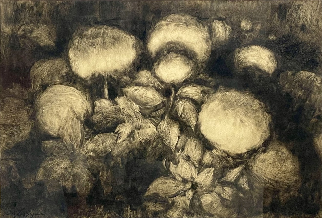 Nicolas Sage, Hydrangea, 2025