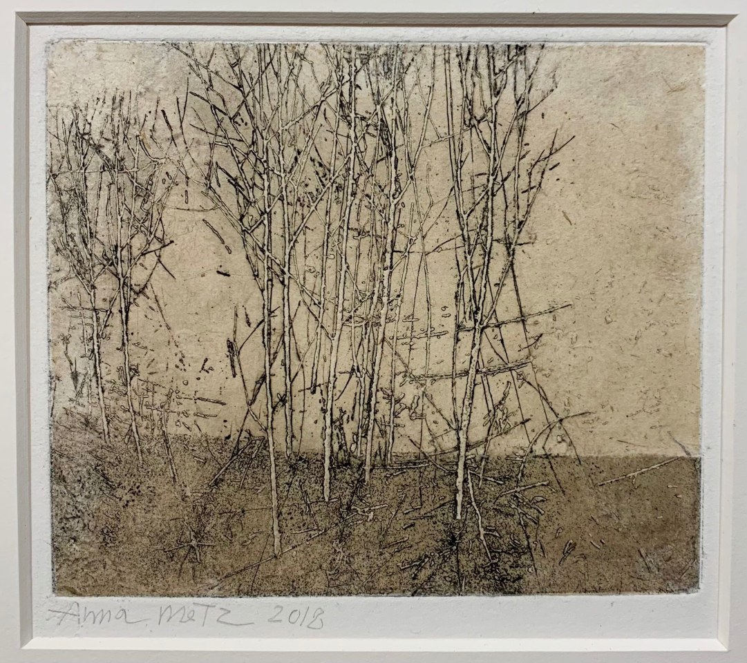 Anna Metz, Kale boomstammen (Troncs d'abres dépouillés), 2018