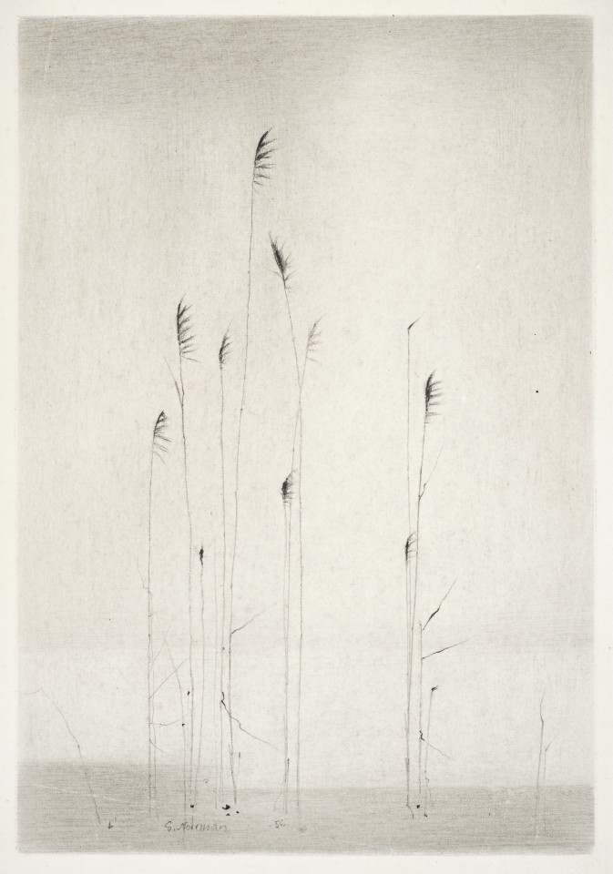 Gunnar Norrman, Höstdimma, 1956