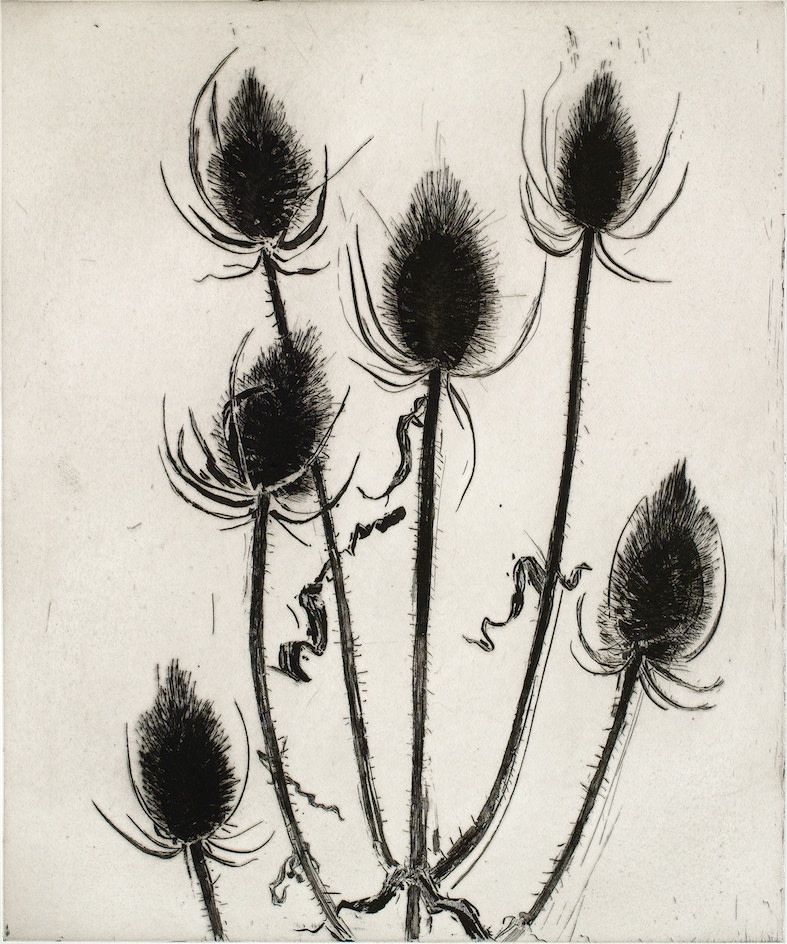 Astrid de La Forest, Chardons d'hiver, 2006