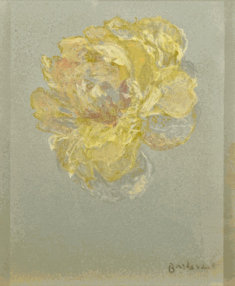 Martin Basdevant, Pivoines I, 2022