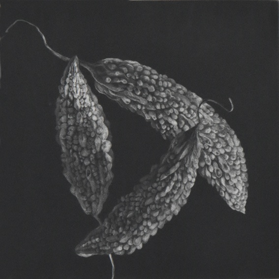Judith Rothchild, Concombres amères, 2016