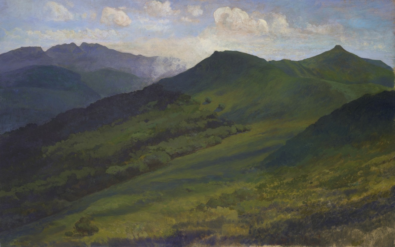 Charles-Élie Delprat, Le Roc des ombres , 2020-2021