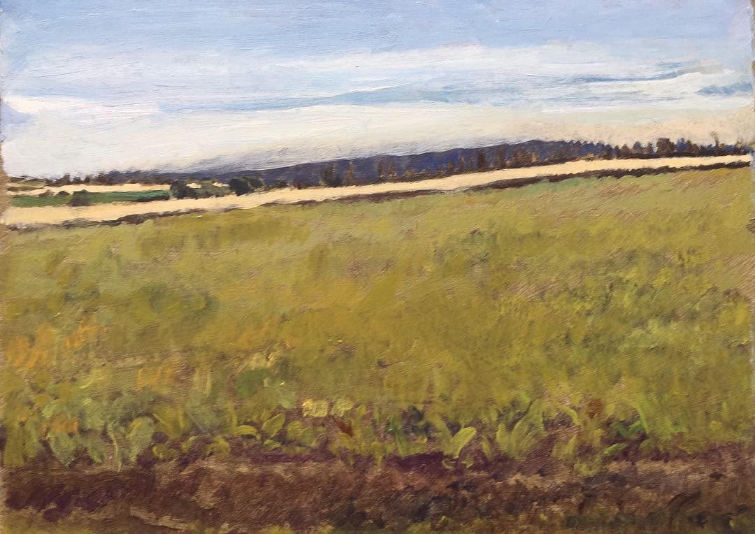 Charles-Élie Delprat, Route du Fouly, Nord Cotentin, 2018