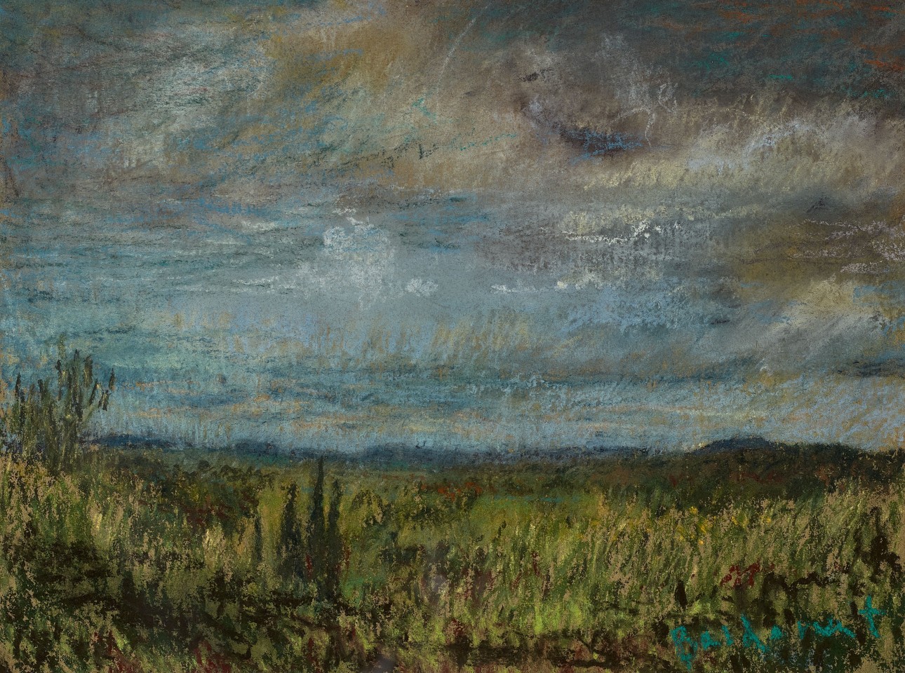 Martin Basdevant, Vue de Corconne, 2006