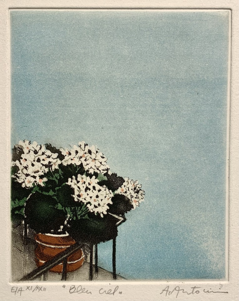 Annapia Antonini, Bleu ciel, 1992