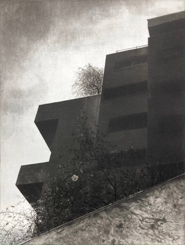 Lucio Mosner, La Première fleur, 2025