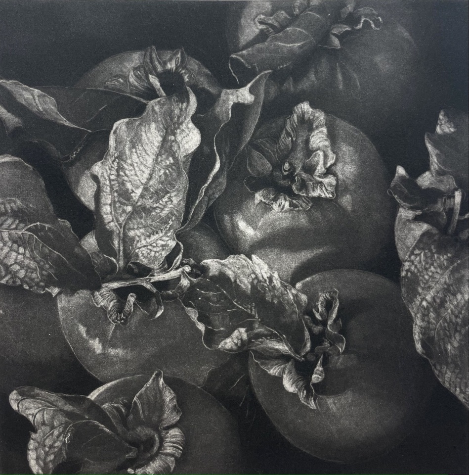 Judith Rothchild, Kaki, 2016