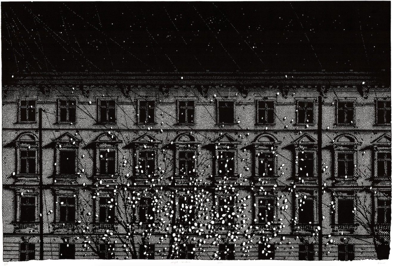 Nicolas Poignon, Nuit et fenêtres, 2013