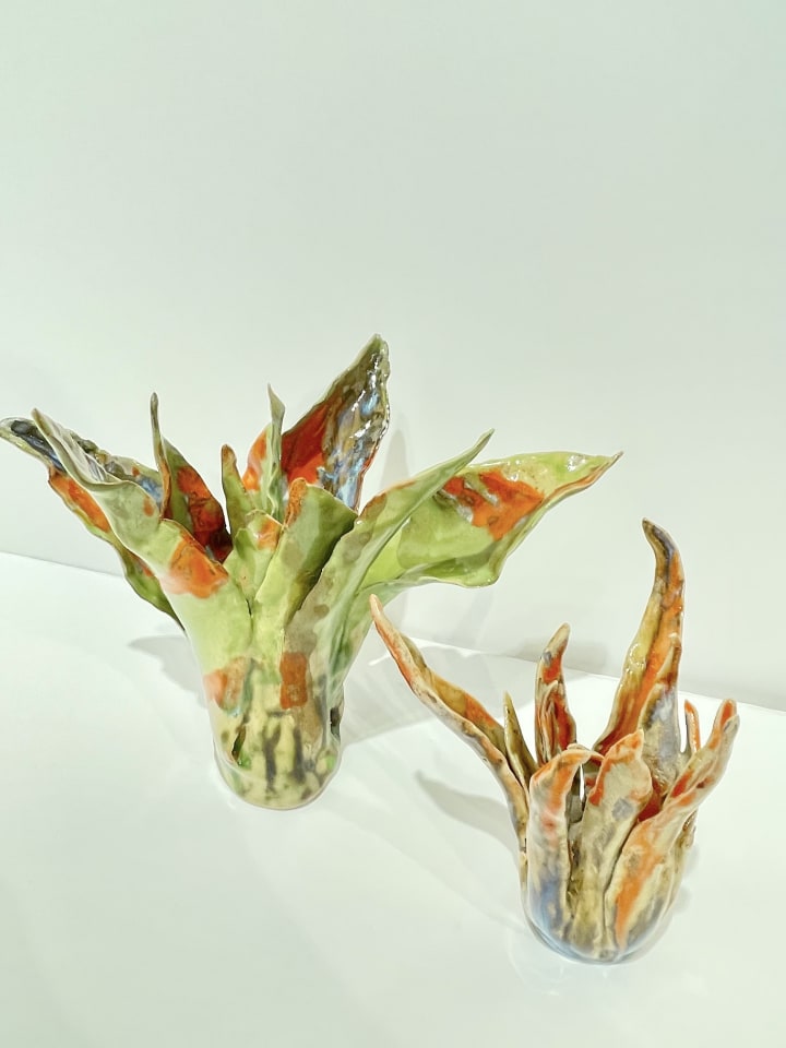 Helena Arellano Mayz, Aloe Vera, 2024