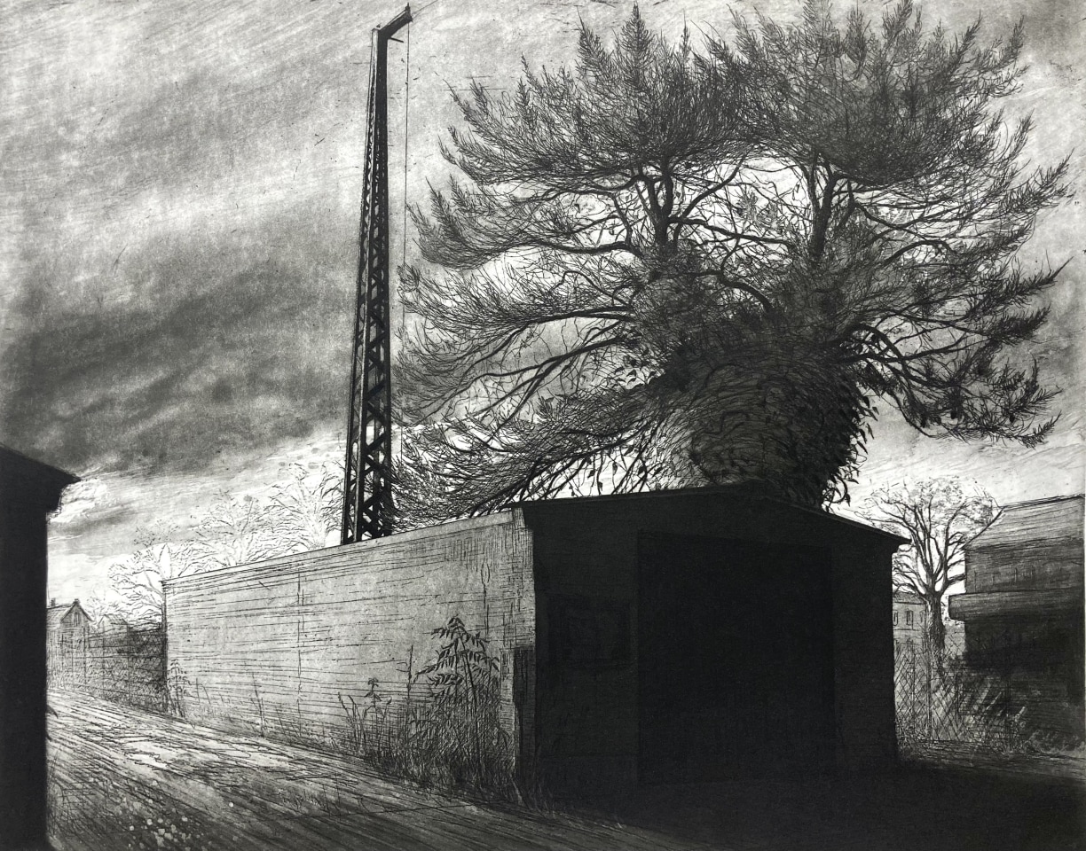 Lucio Mosner, Hangar, 2024