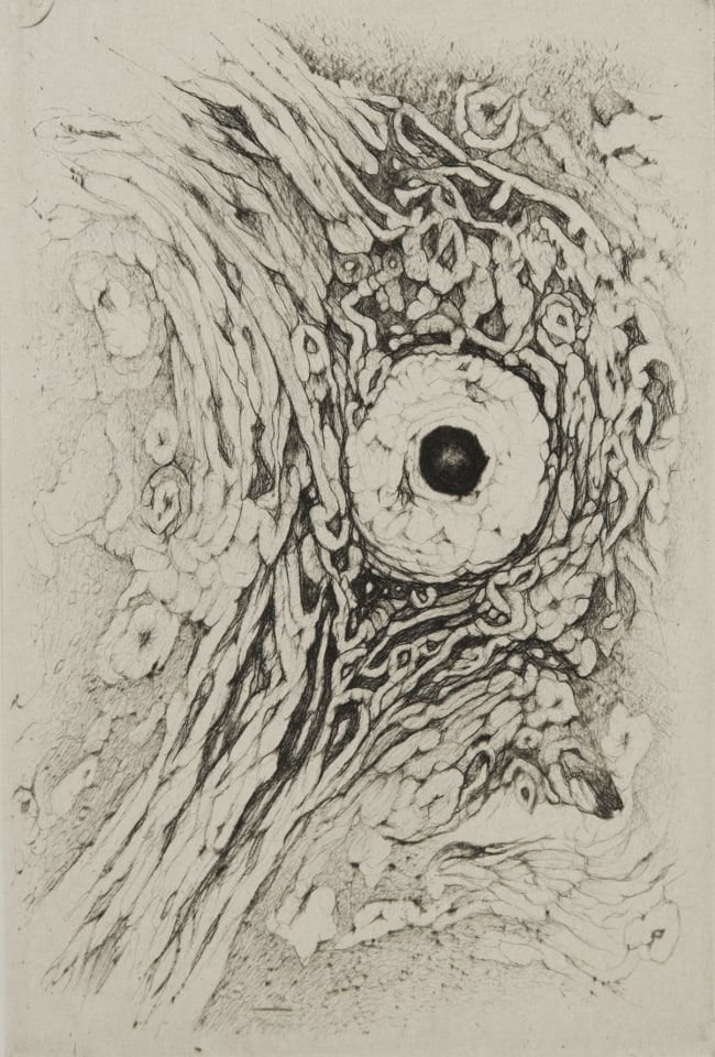 Cécile Reims, L’Élan vital - Gravure #12, 2011