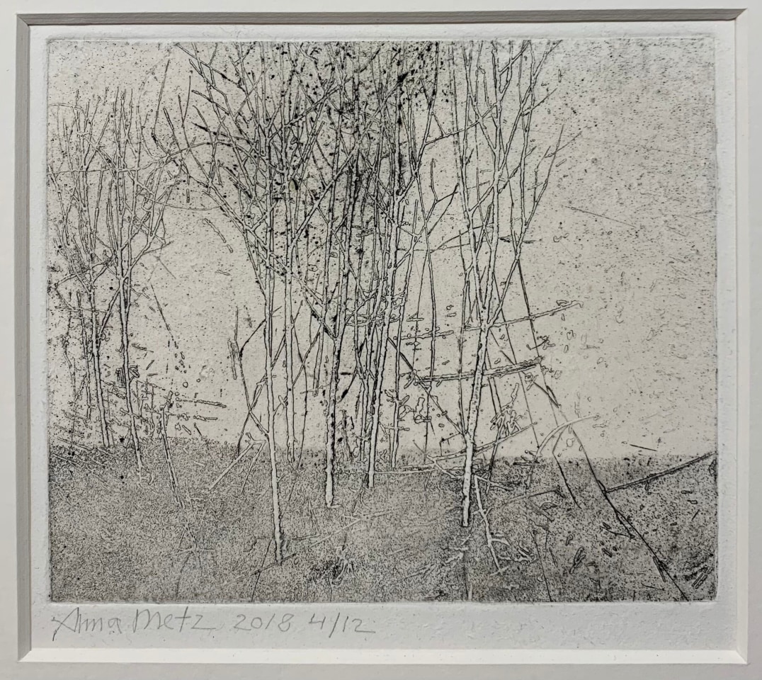 Anna Metz, Kale boomstammen (Troncs d'abres dépouillés), 2018