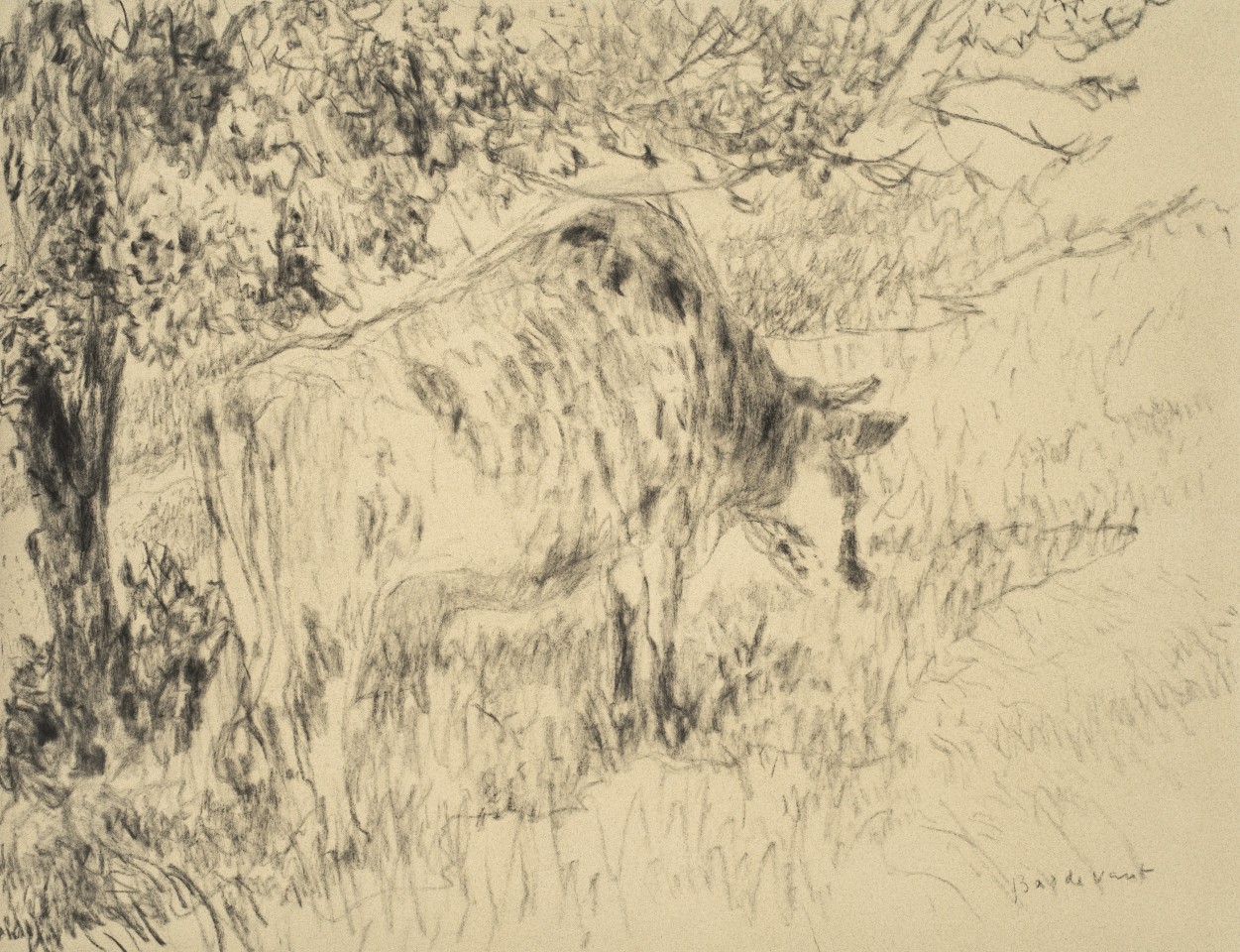 Martin Basdevant, Vache au pommier, 2020