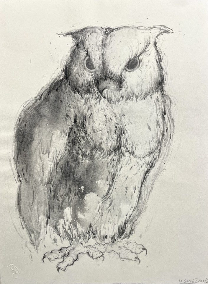Marjan Seyedin, Hibou en pied 9, 2018