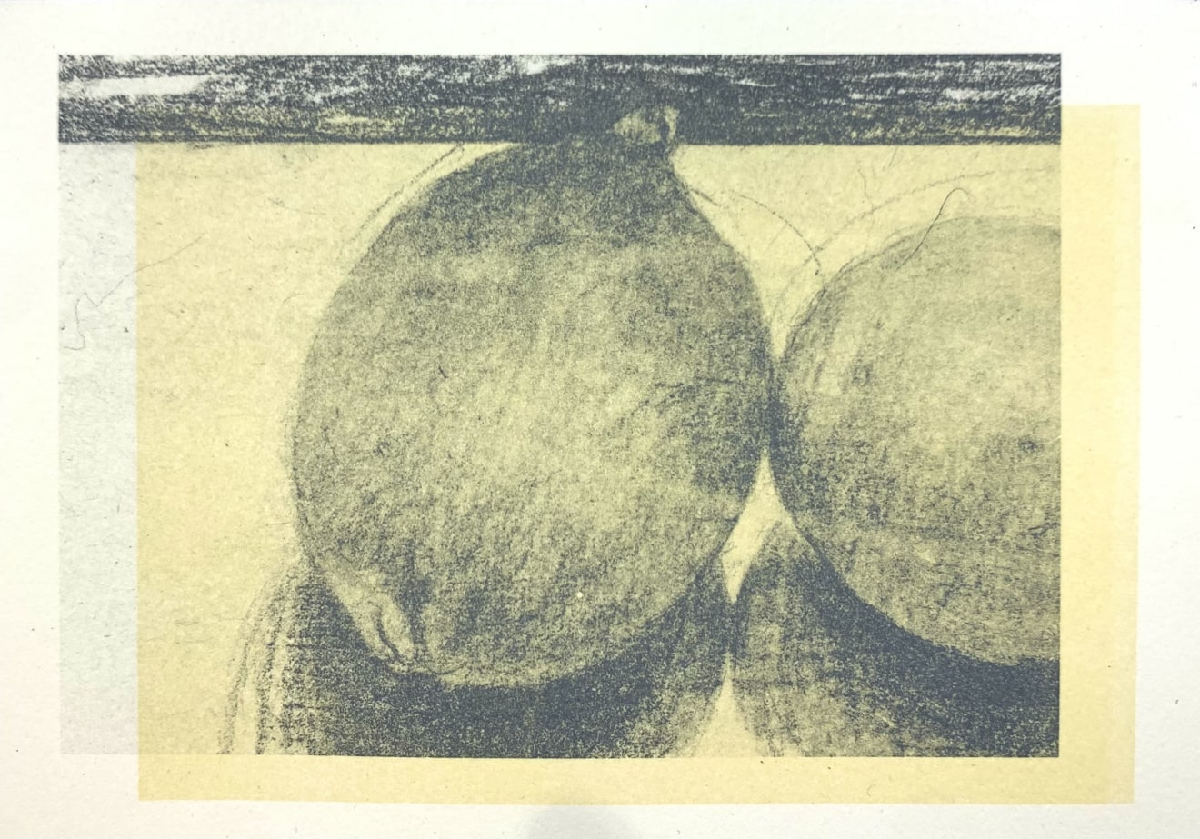 Farhad Ostovani, Jeux de citrons n°1, 2021