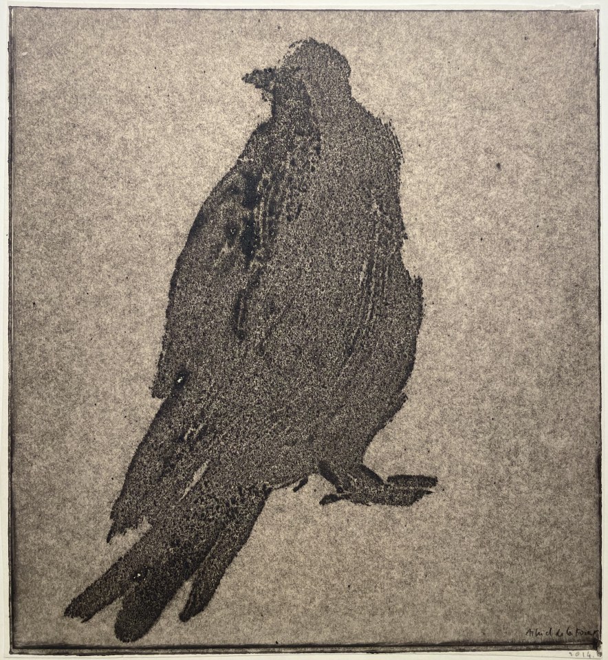 Astrid de La Forest, Empreinte (pigeon de dos), 2014