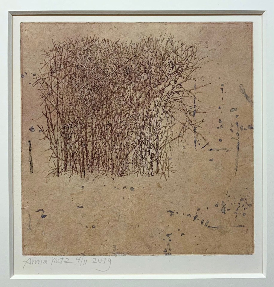 Anna Metz, Boomgroep (Bosquet), 2018-2019