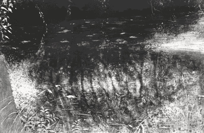 Lucio Mosner, Traumteich, 2024