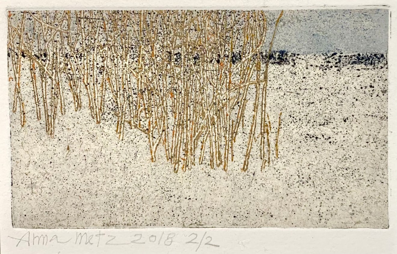 Anna Metz, Heg II (Takkebos) - La Haie, 2018