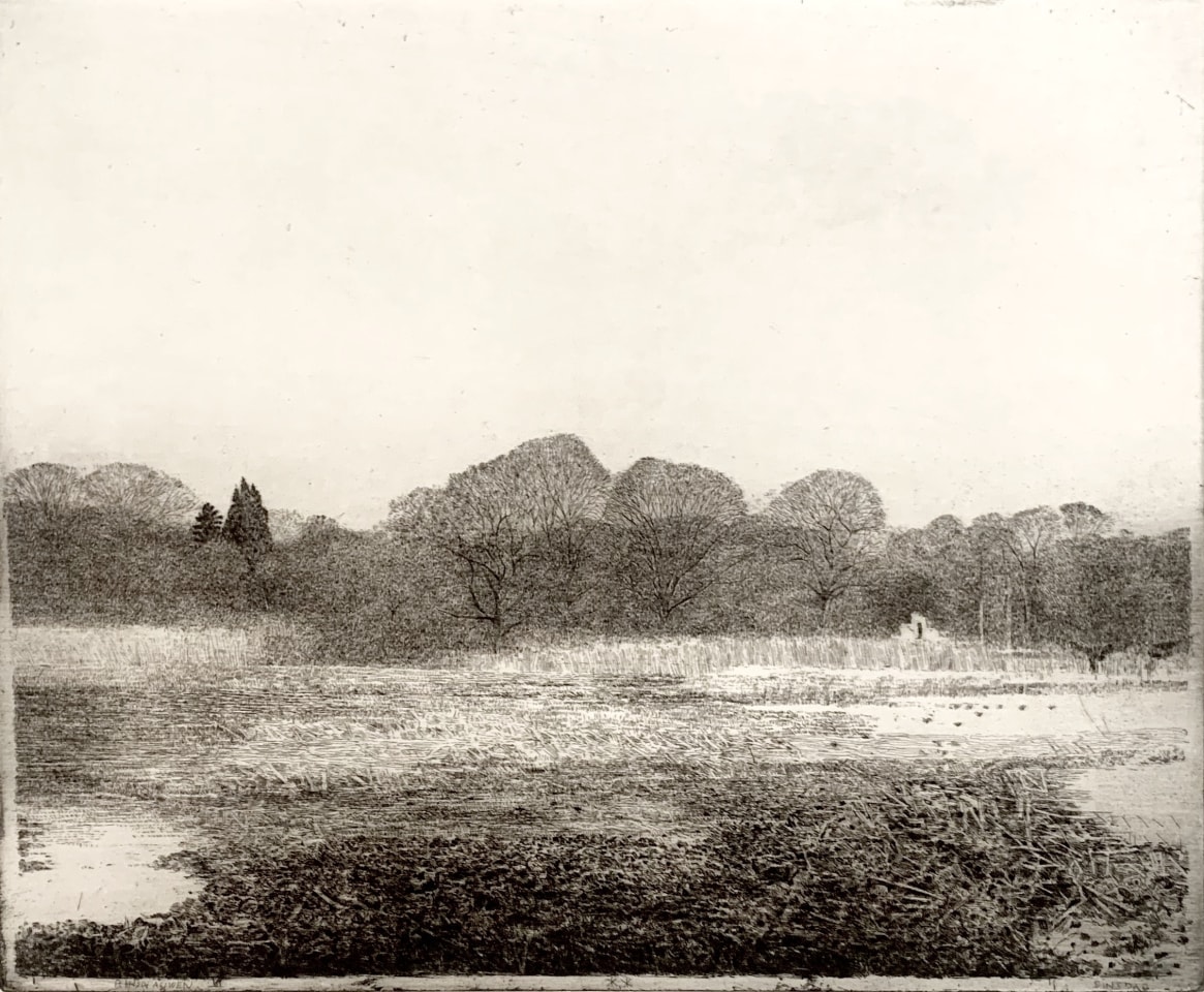 Charles Donker, Landschap Rhijnauwen (Dinsdag) - Paysage Rhijnauwen (mardi), 2017