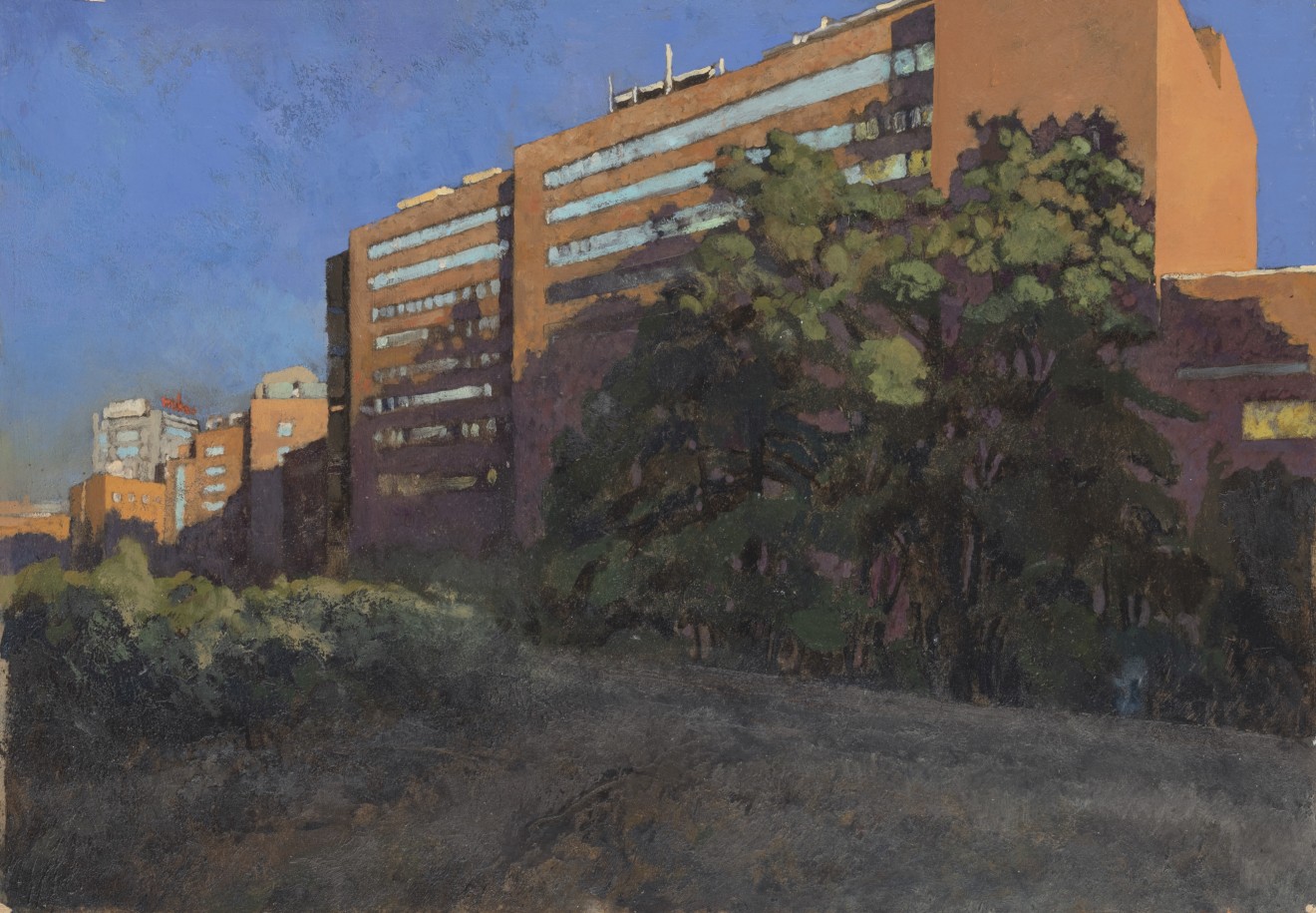 Charles-Élie Delprat, Madrid, hospital Jimenez Diaz, 2019