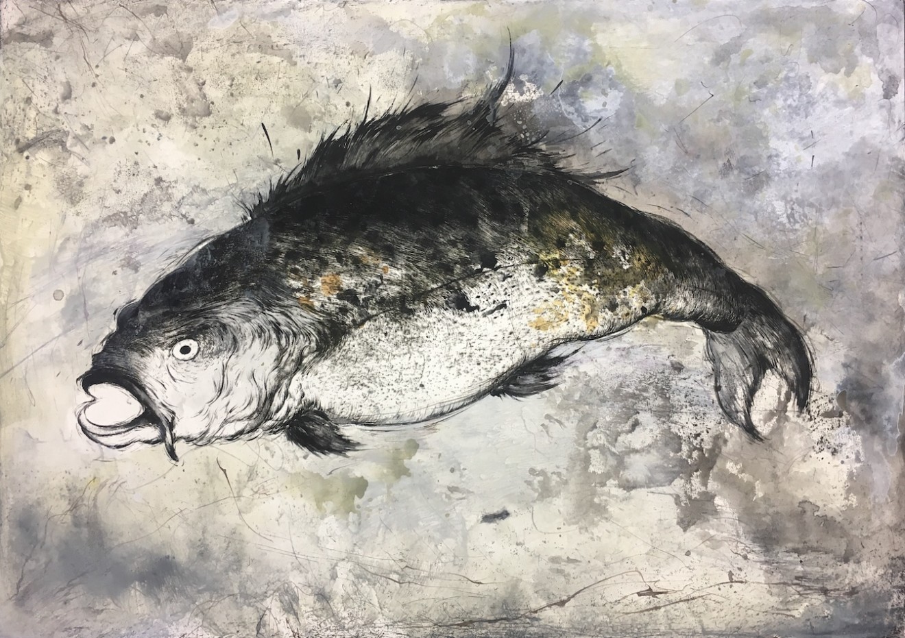 Marjan Seyedin, Poisson 1, 2016-2018