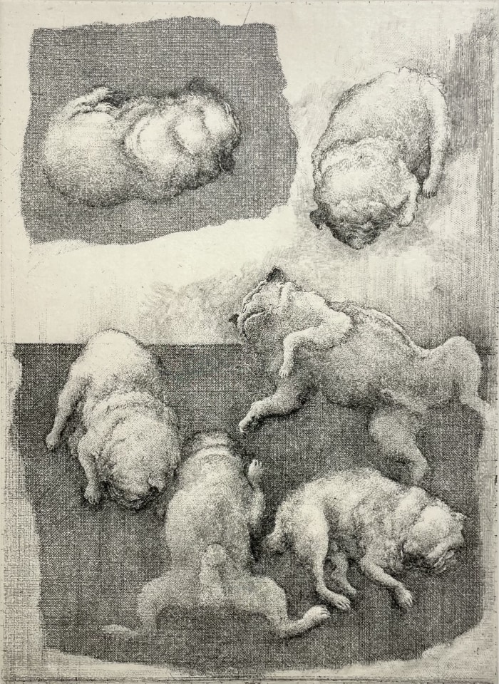 Érik Desmazières, Nestor qui dort, 2025