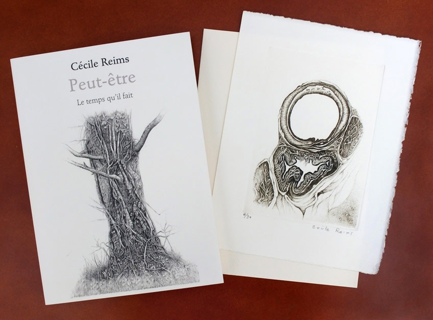 Cécile Reims, Peut-être, 2010