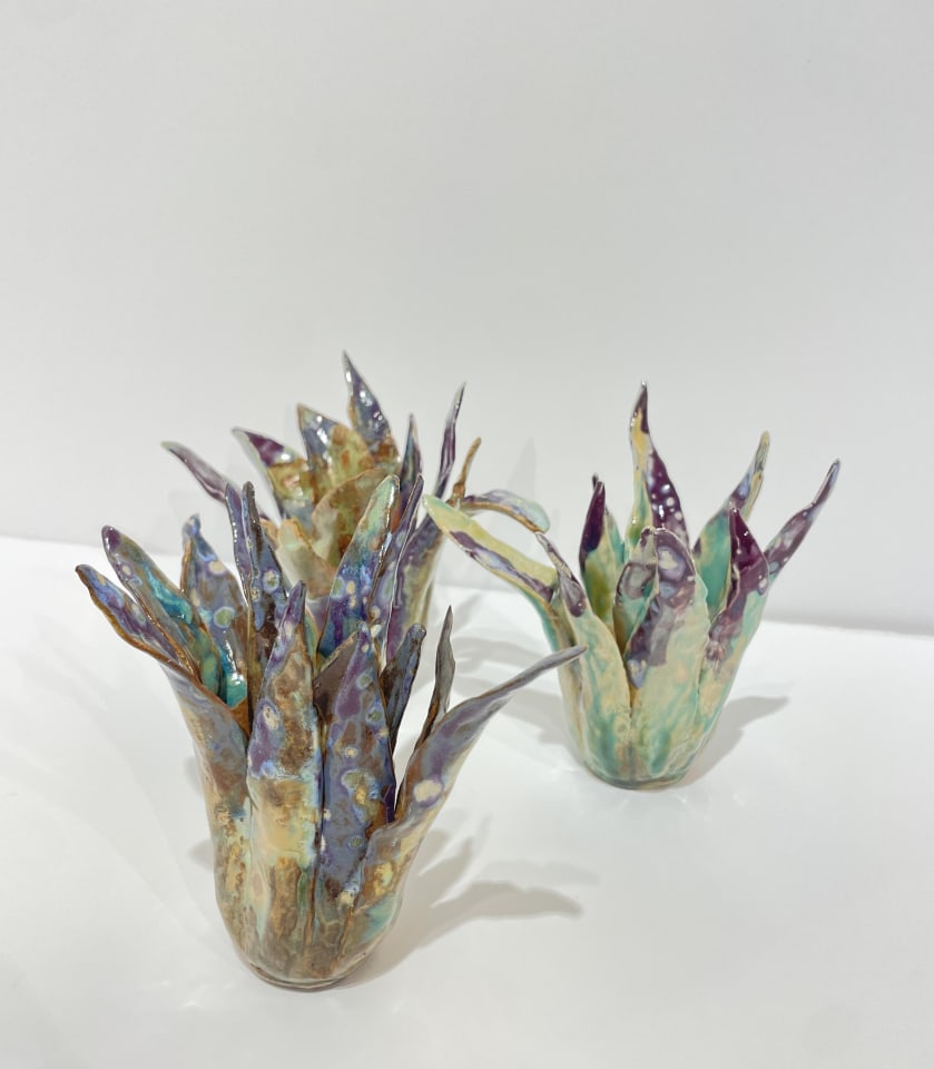 Helena Arellano Mayz, Aloe Vera, 2024