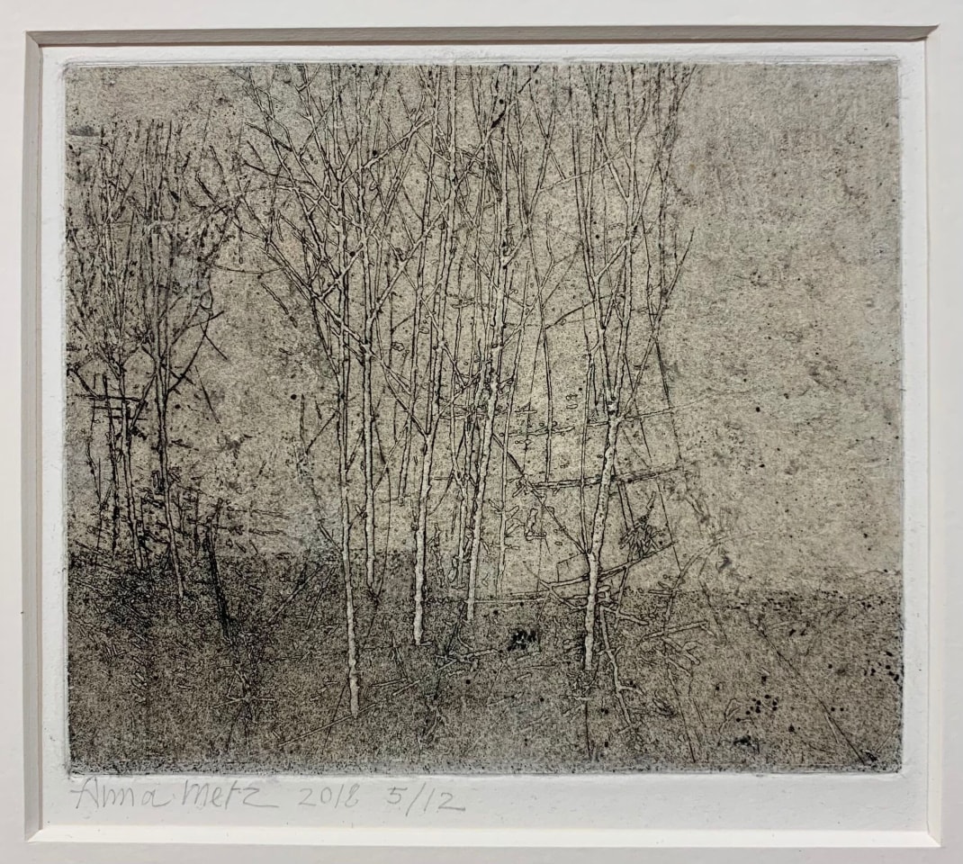 Anna Metz, Kale boomstammen (Troncs d'abres dépouillés), 2018