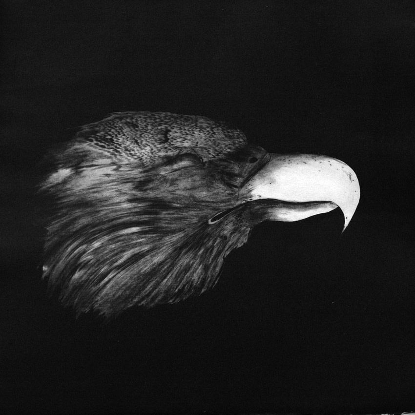 Marjan Seyedin, Tête d'aigle, 2006