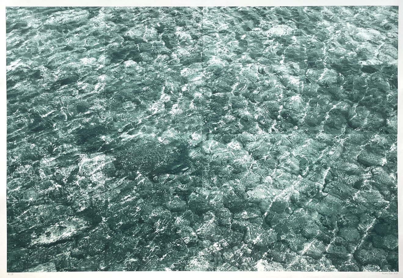 Ariane Fruit, Immersion, 2025