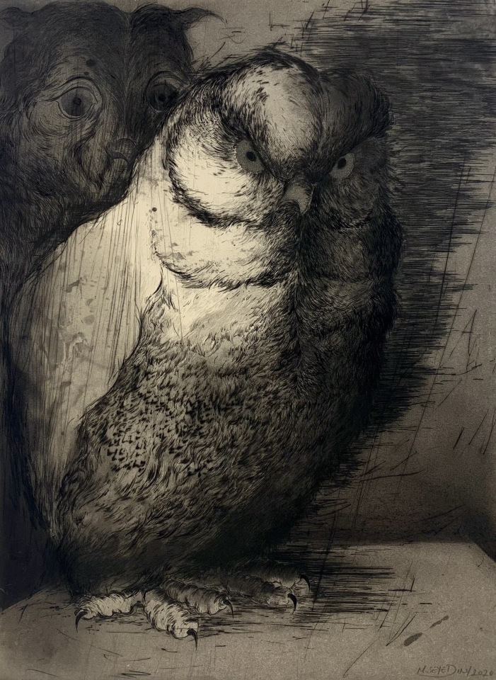Marjan Seyedin, Hibou 5, 2020