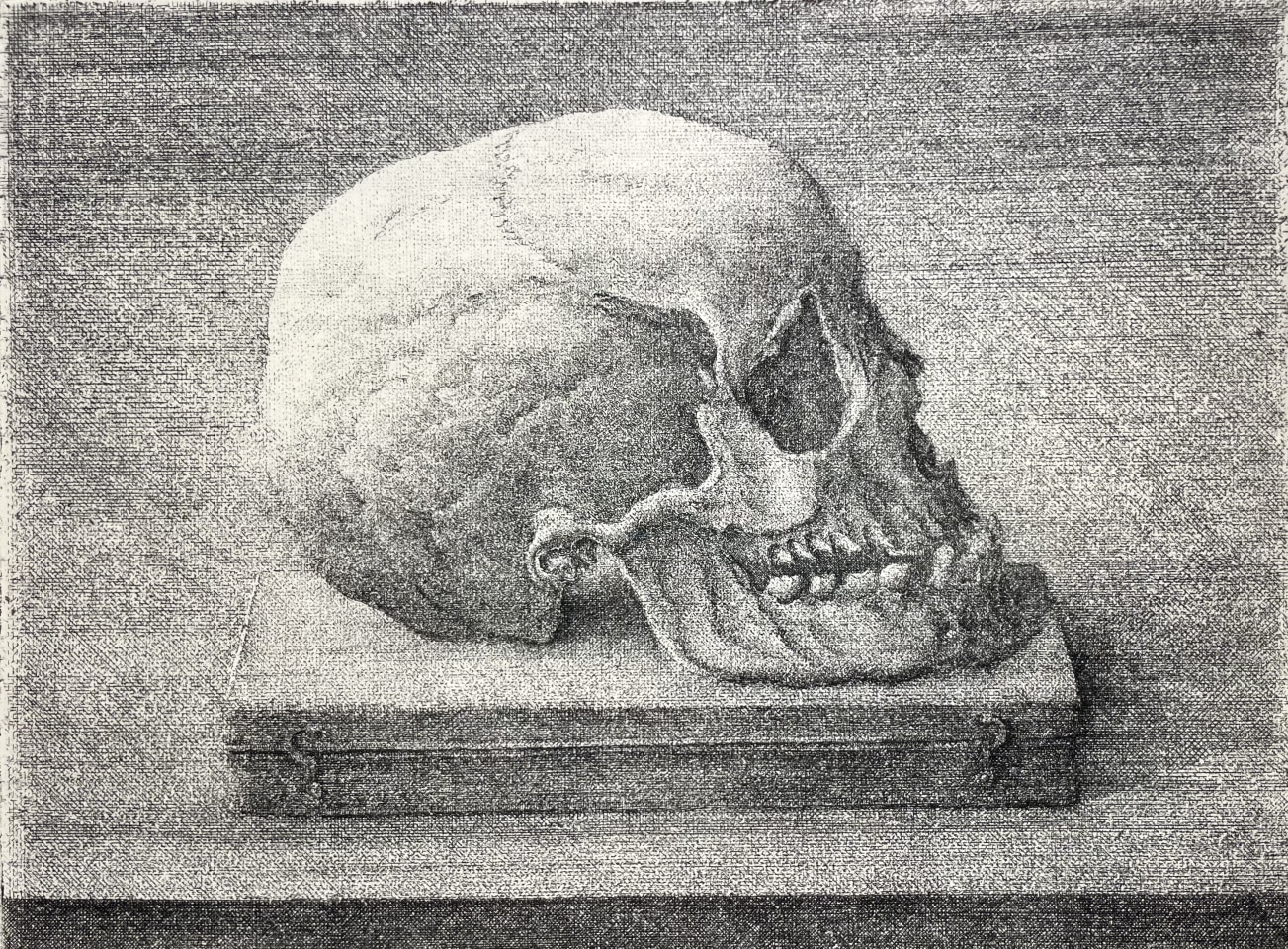 Érik Desmazières, Le crâne sur sa boîte, 2025