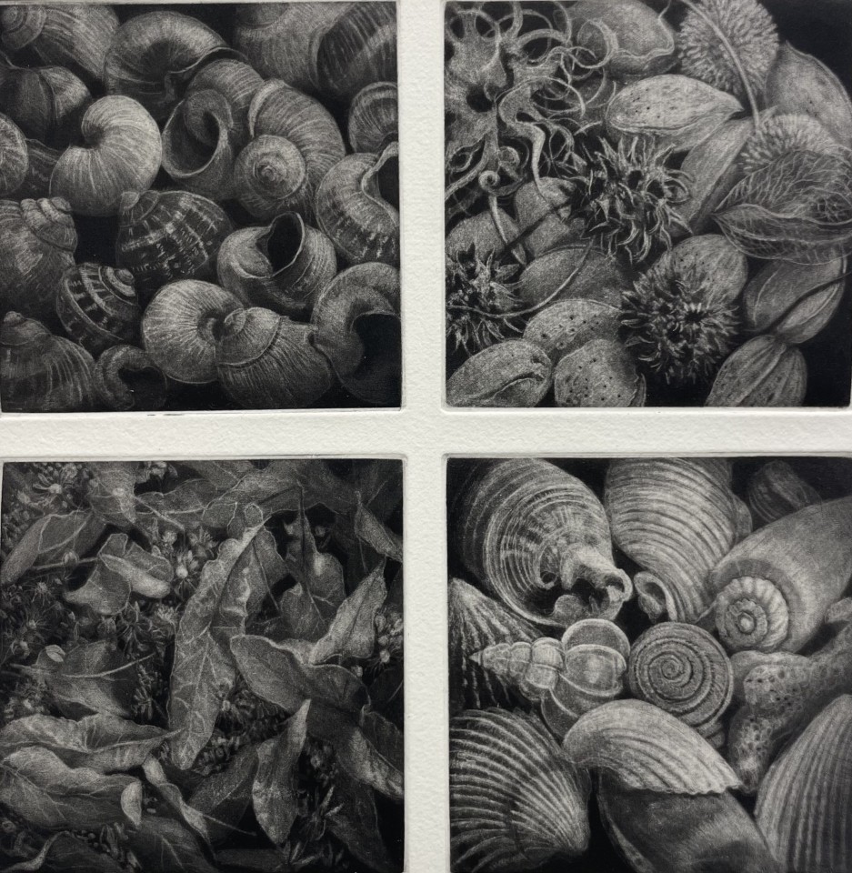 Judith Rothchild, Thème et variations, 2024