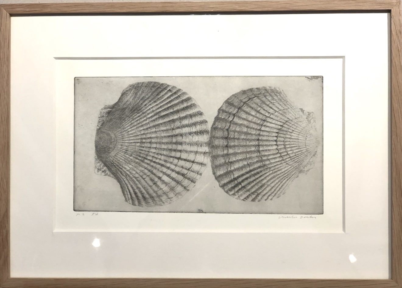Charles Donker, Twee schelpen (Deux coquillages), 2015