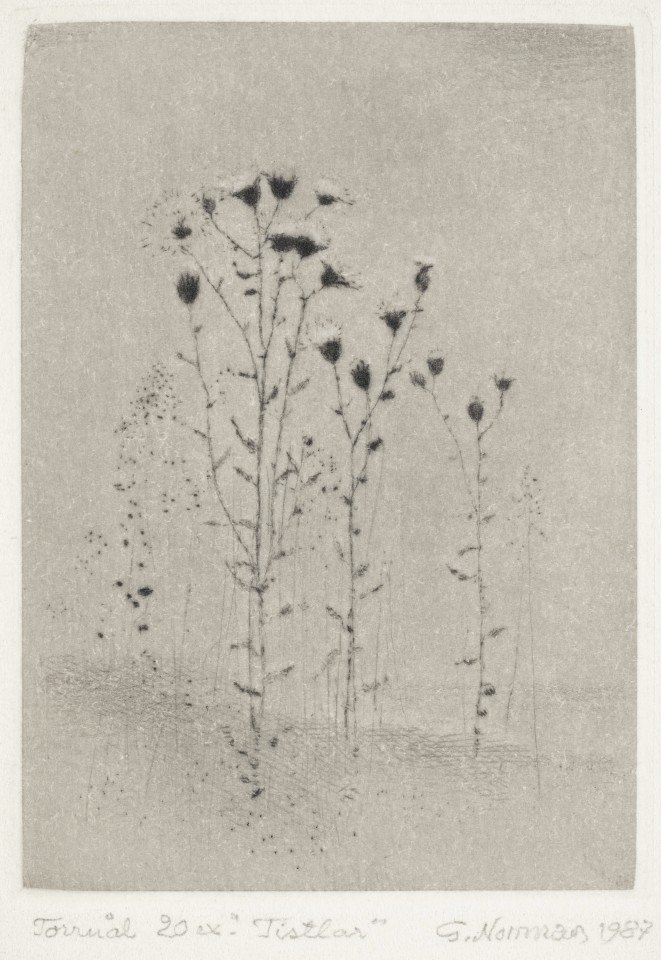 Gunnar Norrman, Tistlar, 1987