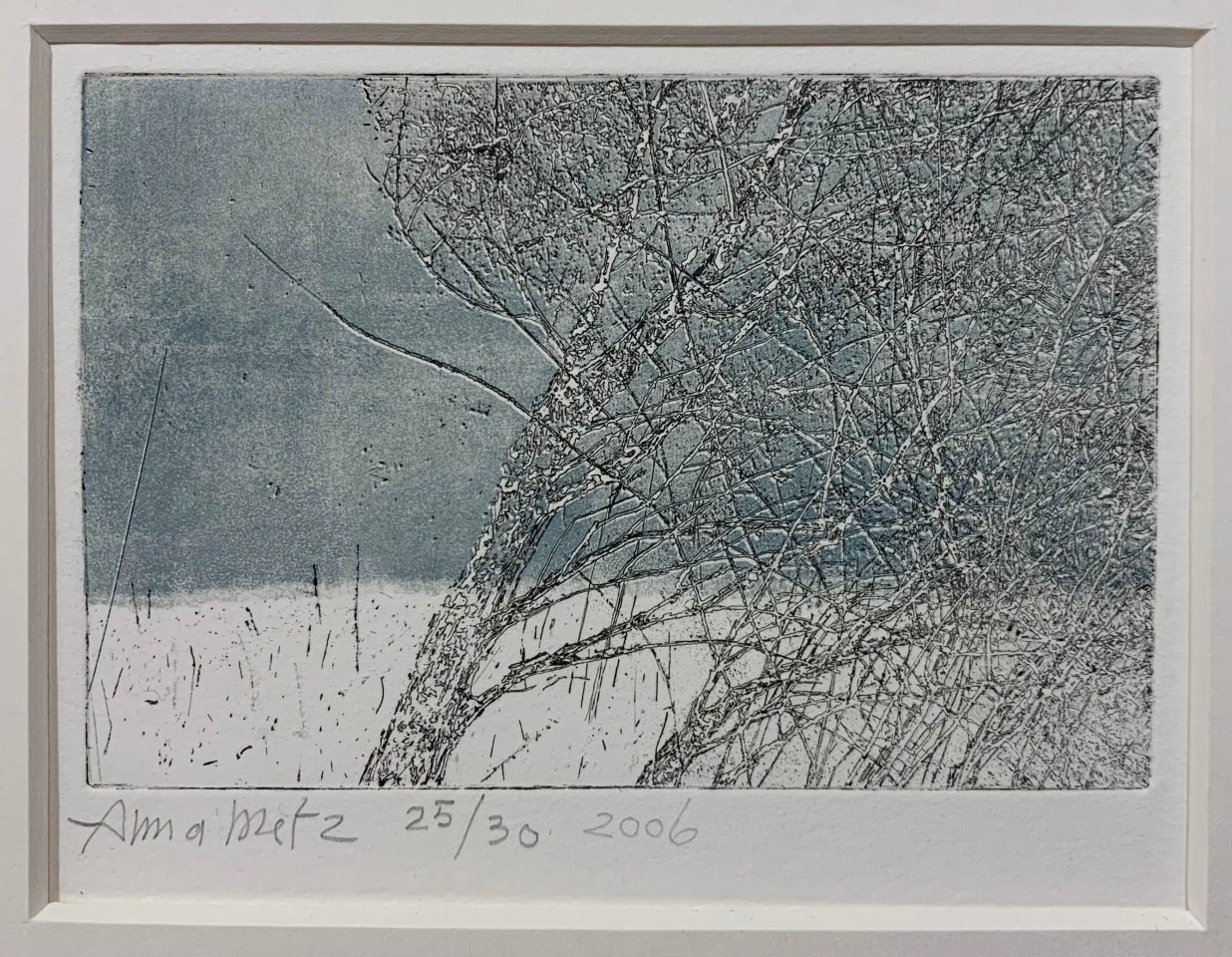 Anna Metz, Wintertakken (Branches hivernales), 2001-2009