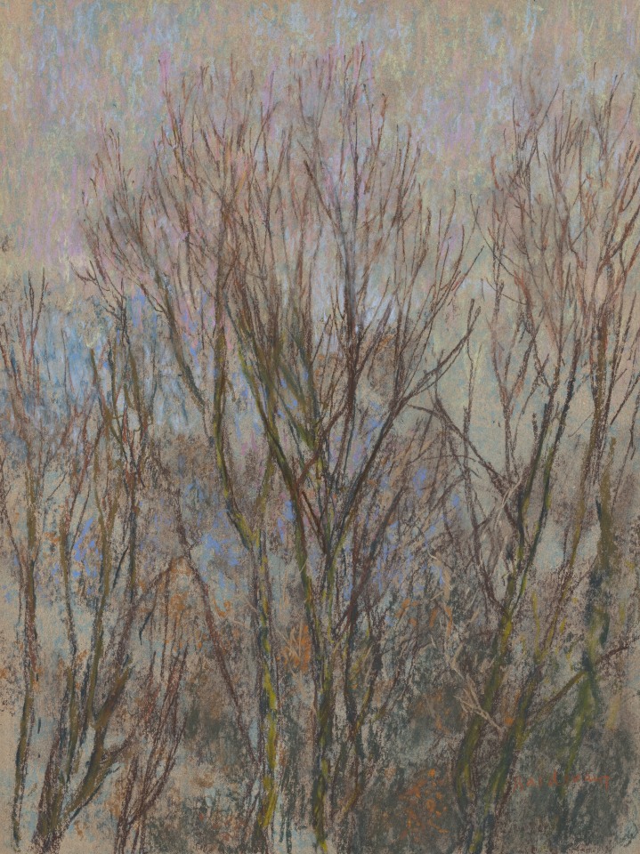Martin Basdevant, Matin bleu - Les Trembles, 2023