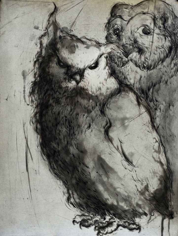 Marjan Seyedin, "Hiboux et chouettes" #9, 2019