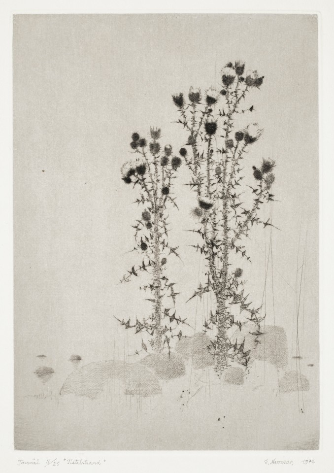 Gunnar Norrman, Tistelstrand, 1976