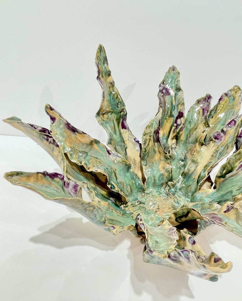 Helena Arellano Mayz, Agave, 2024