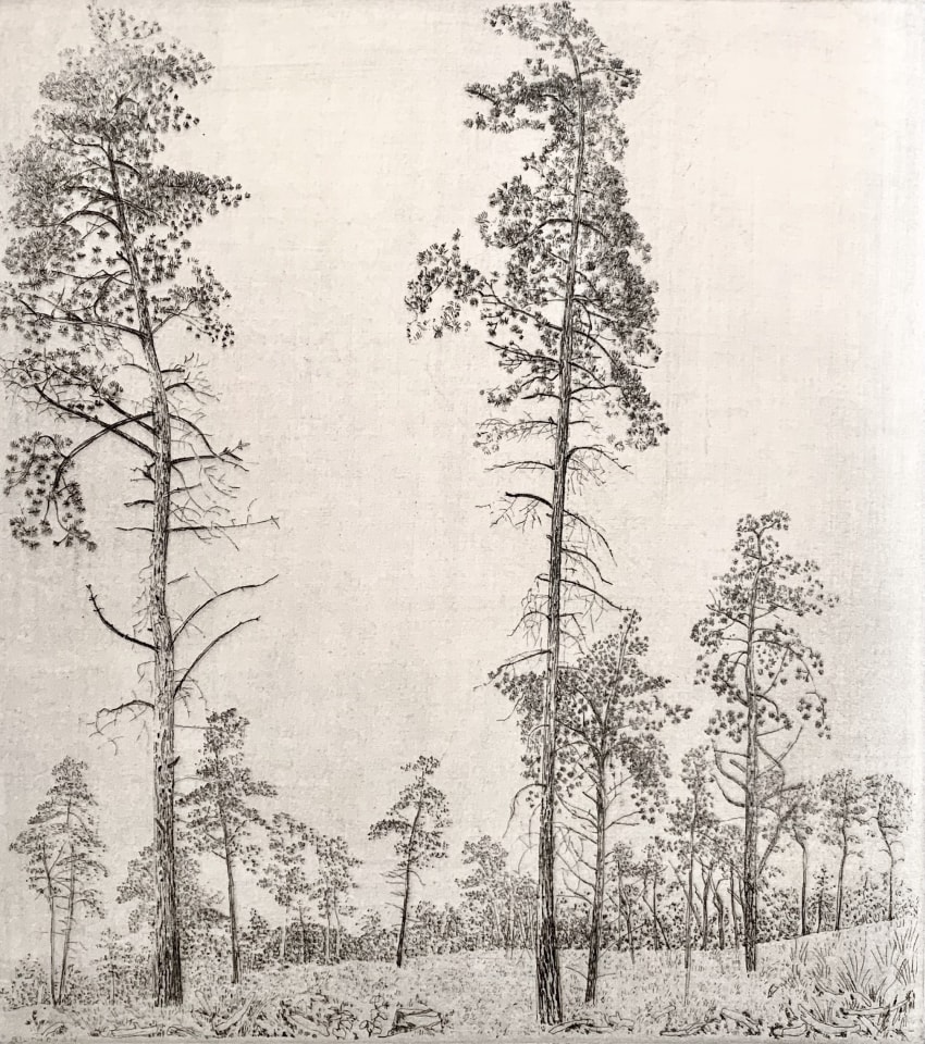 Charles Donker, Bos II (Landschap in omgeving Bilthoven) - Forêt II (Paysage dans la région de Bilthoven), 1989 (ca.)