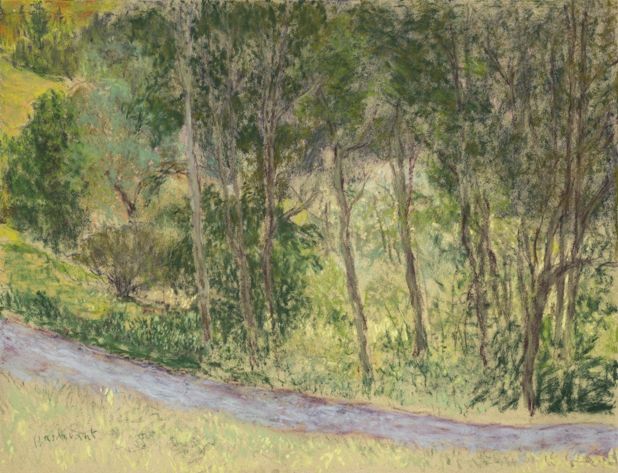 Martin Basdevant, Bosquet sur la route des Prats, 2023