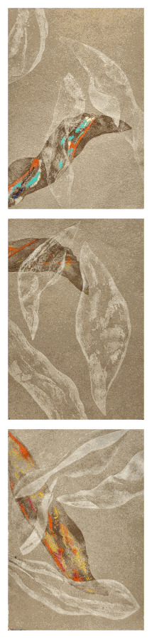 Helena Arellano Mayz, Série Hojarasca - Feuillage 04, 2025