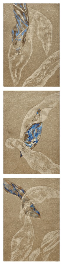 Helena Arellano Mayz, Série Hojarasca - Feuillage 05, 2025